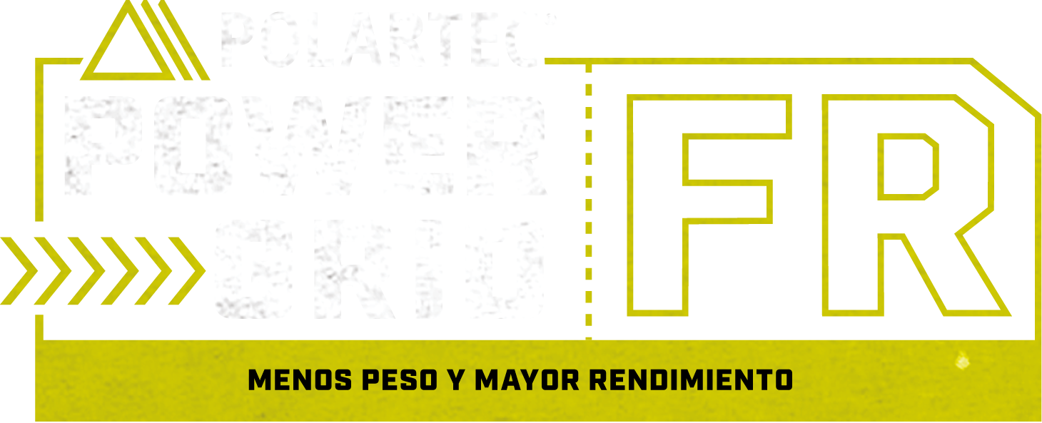 power_grid_esp